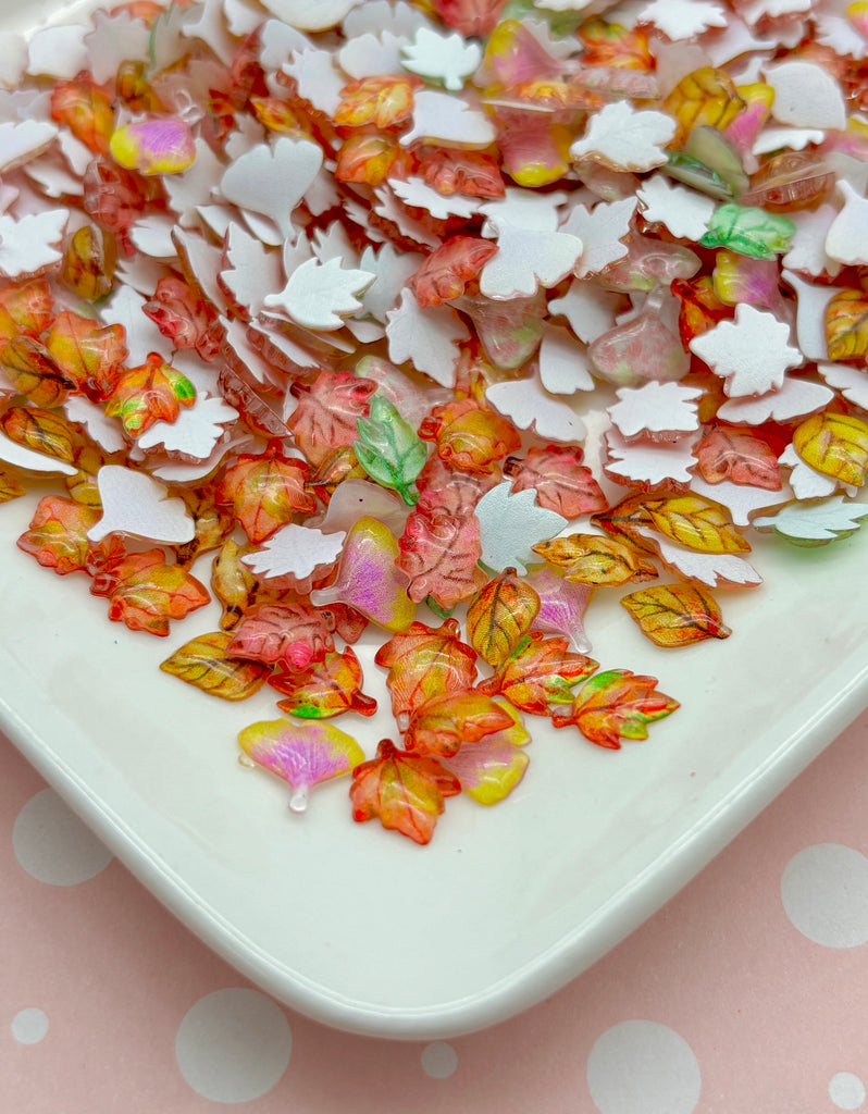 a white plate topped with lots of colorful leaves