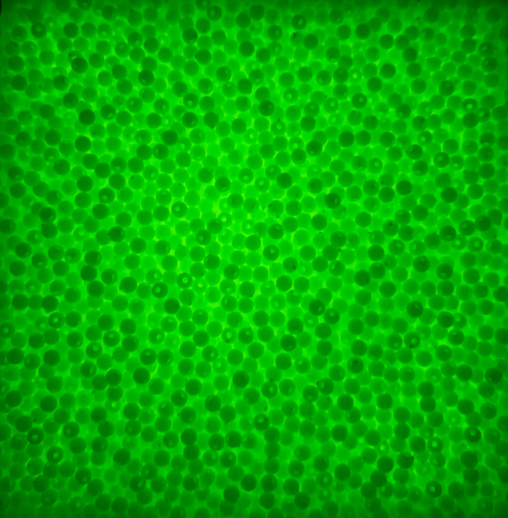 a green background with lots of bubbles