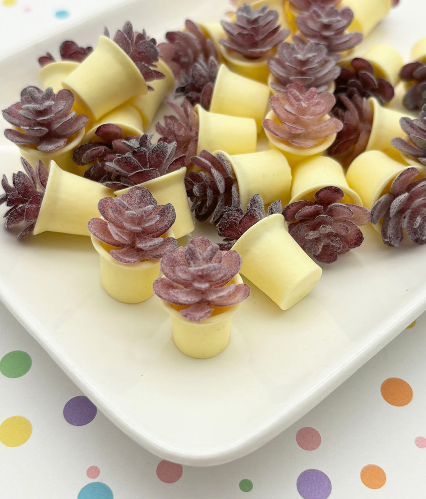 a white plate topped with pieces of fruit