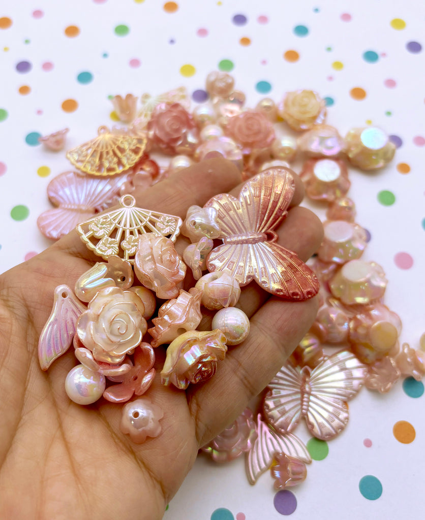 a hand holding a bunch of small shells