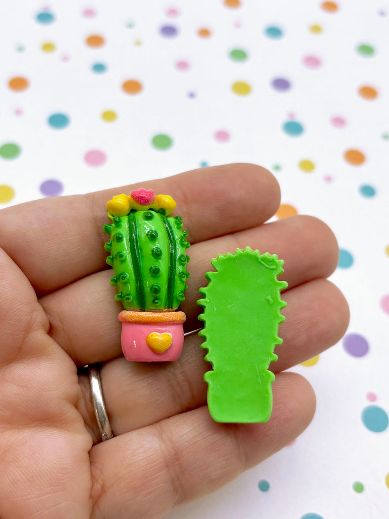 a hand holding a small cactus and a tiny cactus ring