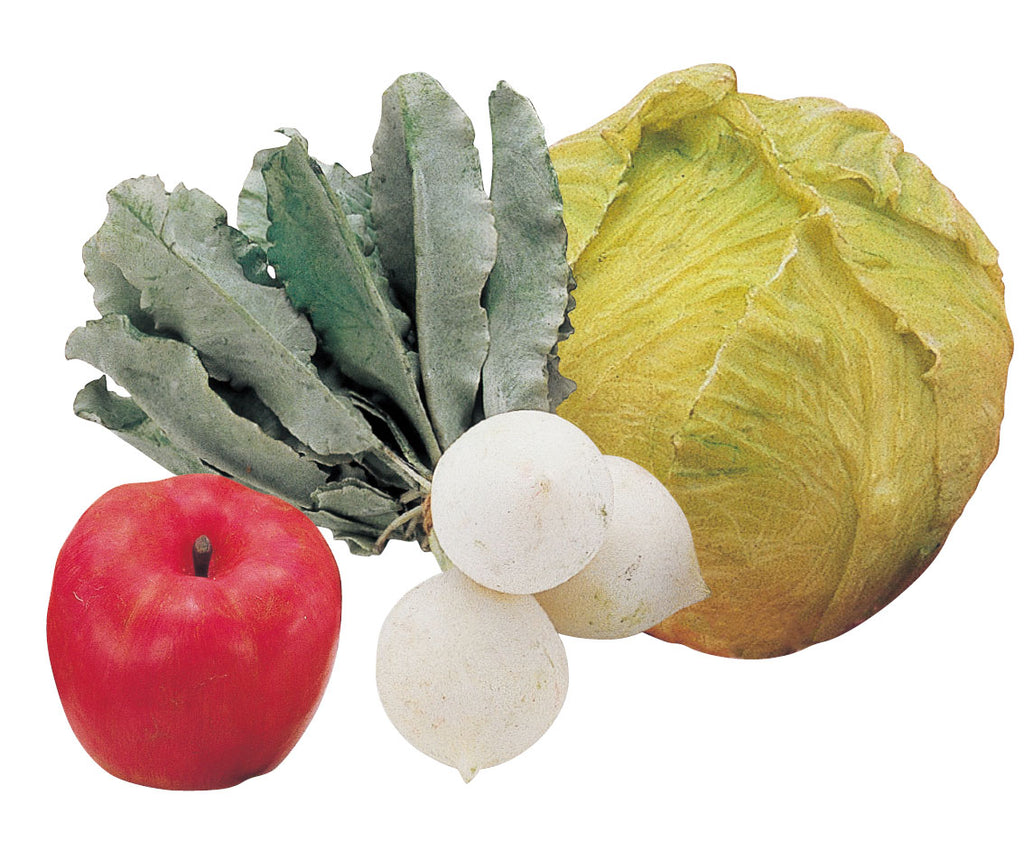 a cabbage, an apple, and other vegetables on a white background