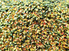 Oilslick Green Iridescent Shift Triangle Shape Glitter, Diamond Pyramid Glitter, 3D glitter,  Pick Your Amount, #1376