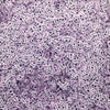 Light Purple Lavender Ouija Planchette Halloween Polymer Clay NON EDIBLE Sprinkles, Spooky Faux Sprinkles, Pastel Goth Sprinkles, N80