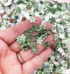200 Pieces 10mm Light Green Silver Backed Acrylic Rhinestones Nail Art Shape, Flat Backed Resin Faceted Flower Cabs, H492
