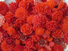 10 Piece Red Mix Flower Cabochons Grab Bag 10pc Roses Mums (DESTASH SALE) F668