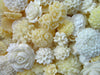 20 Piece White, ivory and Cream Mix Flower Cabochons Grab Bag 20pc Roses Mums (DESTASH SALE)